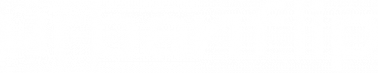 Urbanflip (transparent)